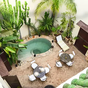 Les Ammonites And 4* Marrakesh